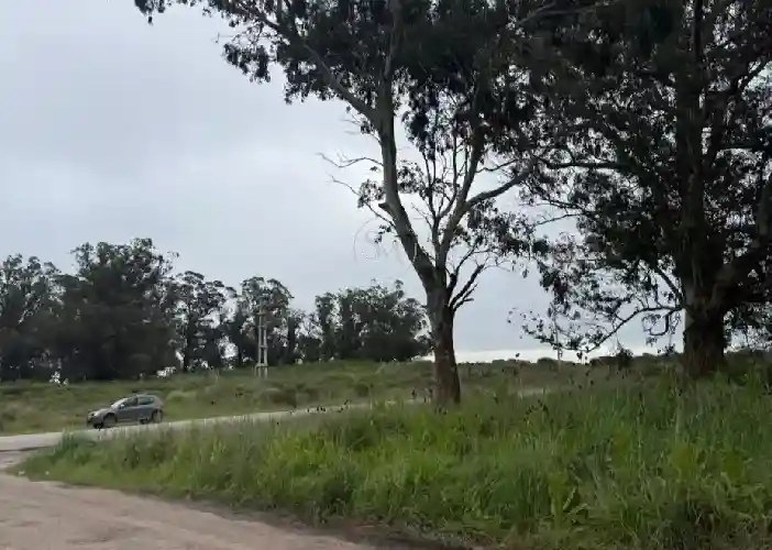 SANCHEZ MARSICO PROPIEDADES - LOTE- FRACCIóN